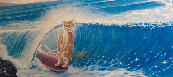 Cat Surfing