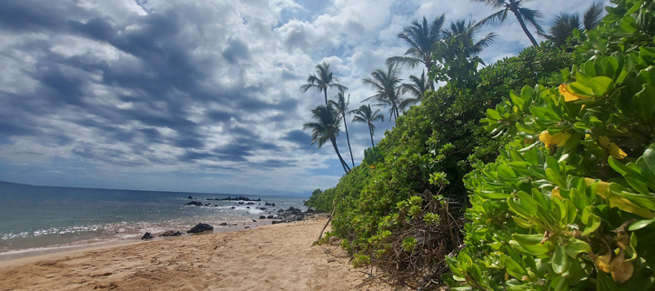 Beach in Kīhei